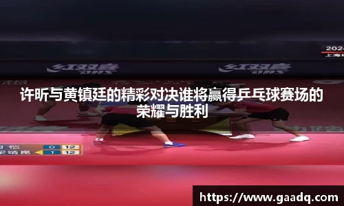 许昕与黄镇廷的精彩对决谁将赢得乒乓球赛场的荣耀与胜利